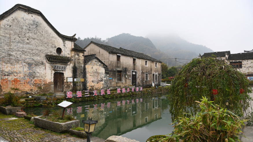 新光村的绿水青山致富路