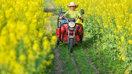 “治荒奶奶”葉金娥：“我把土地當(dāng)做是療養(yǎng)院”