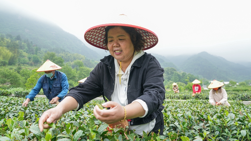 守“綠”換“金”！大別山區(qū)“兩山”實(shí)踐創(chuàng)新基地觀察