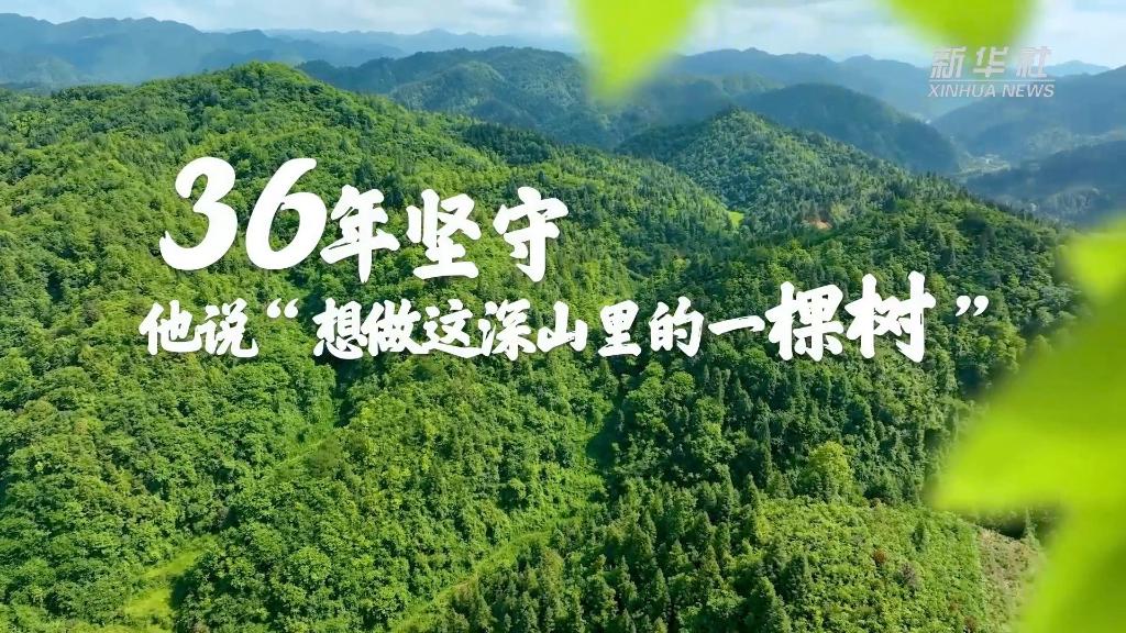 36年堅守！他說“想做這深山里的一棵樹”