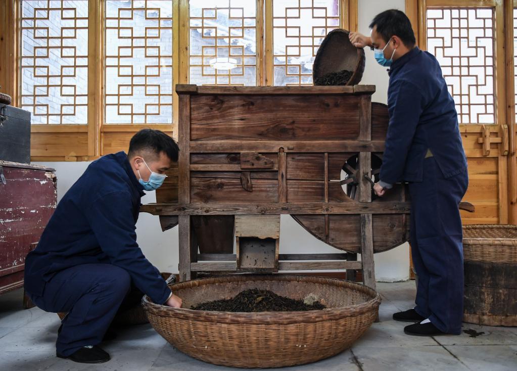 “絲路黑金”咸陽茯茶誕生記