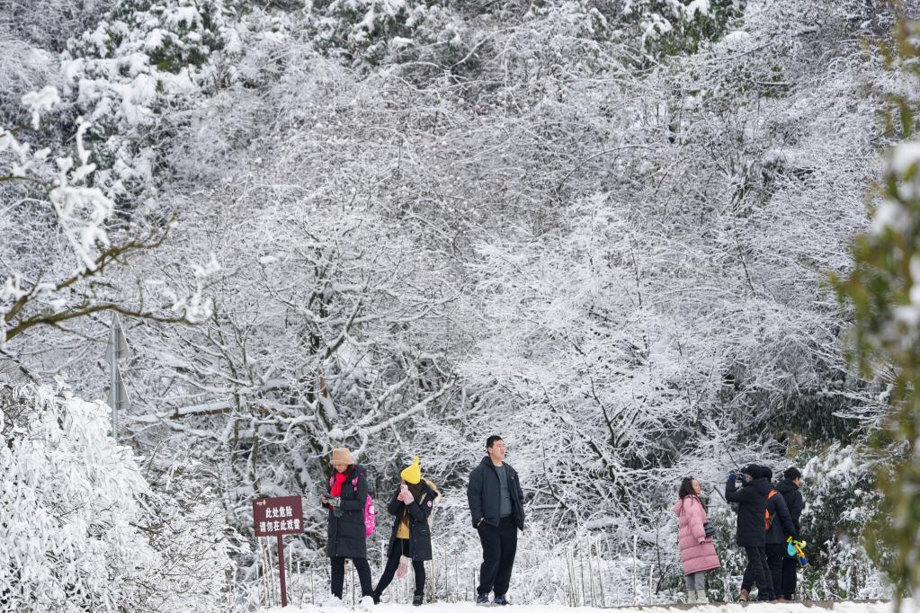 重慶：冰雪經(jīng)濟(jì)催動(dòng)金佛山冬季旅游實(shí)現(xiàn)“開(kāi)門紅”