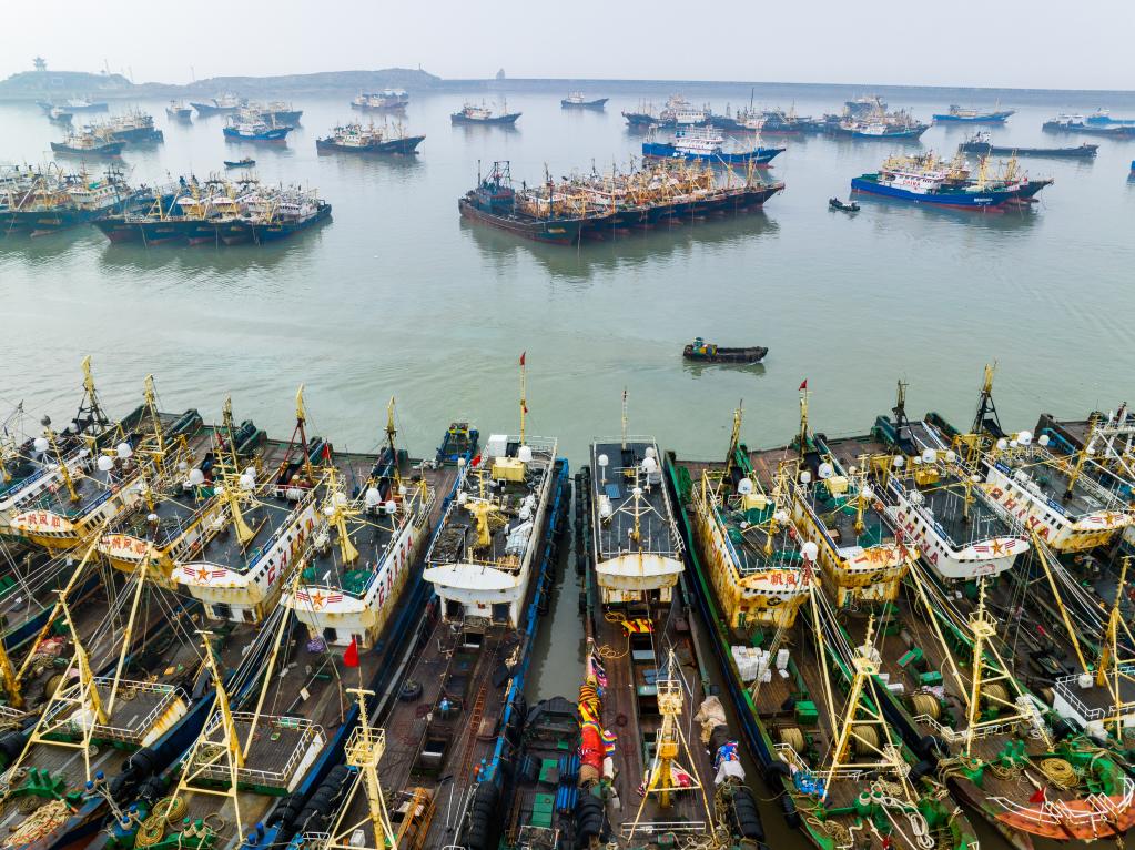 浙江溫嶺：千帆進(jìn)港迎休漁