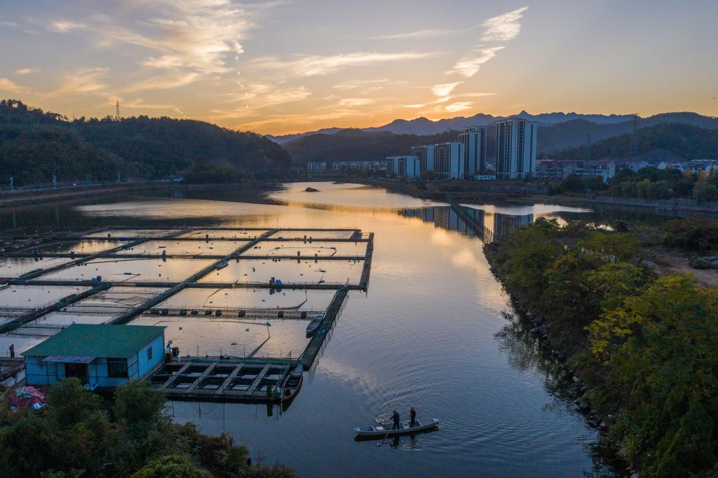 浙江建德：特色種養(yǎng)殖產業(yè)助力文旅消費新活力