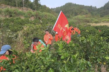 新華全媒+丨福建寧德：在“四下基層”實踐中培養(yǎng)鍛煉年輕干部