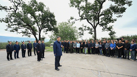 習(xí)近平：鄉(xiāng)村振興要靠產(chǎn)業(yè)，各地要各展其長