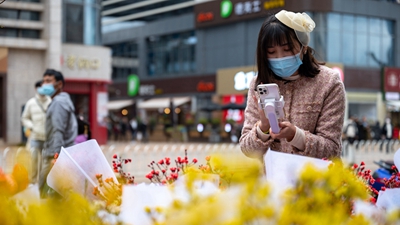 從斗南“花語”聆聽奮進(jìn)足音——“亞洲花都”傳奇