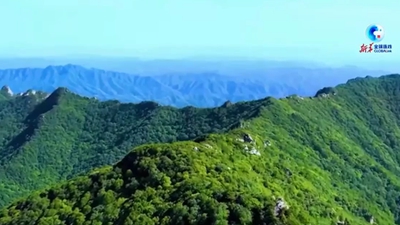 小秦嶺重回動植物宜居之地