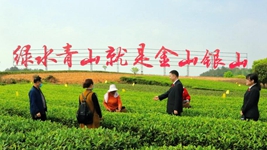 偉大變革丨“治未病”“治已病”“防復(fù)發(fā)”——解碼成都“訴源治理”